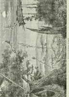 Picture 127 of 276 from Gods and devils of mankind : the whole dark picture strikingly contrasted with the beauty and purity of revealed religion / by Frank S. Dobbins ; assisted by Hon. S. Wells Williams (1897), leaf 367