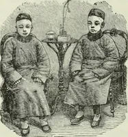 Picture 163 of 276 from Gods and devils of mankind : the whole dark picture strikingly contrasted with the beauty and purity of revealed religion / by Frank S. Dobbins ; assisted by Hon. S. Wells Williams (1897), leaf 461