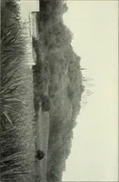 Picture 185 of 276 from Gods and devils of mankind : the whole dark picture strikingly contrasted with the beauty and purity of revealed religion / by Frank S. Dobbins ; assisted by Hon. S. Wells Williams (1897), leaf 546