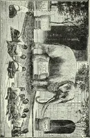 Picture 199 of 276 from Gods and devils of mankind : the whole dark picture strikingly contrasted with the beauty and purity of revealed religion / by Frank S. Dobbins ; assisted by Hon. S. Wells Williams (1897), leaf 590