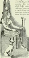 Picture 16 of 276 from Gods and devils of mankind : the whole dark picture strikingly contrasted with the beauty and purity of revealed religion / by Frank S. Dobbins ; assisted by Hon. S. Wells Williams (1897), leaf 96