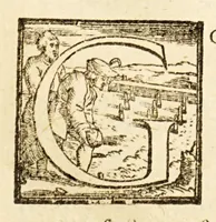 Picture 27 of 48 from Goffredo, overo, Gierusalemme liberata, : poema heroico (1611), leaf 164