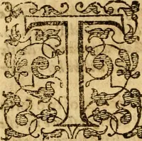 An illustration from A golden chaine: or, the description of theologie : containing the order of the causes of salvation and damnation, according to Gods word .. (1600)