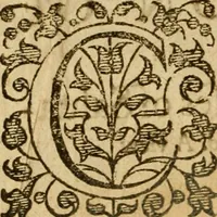 An illustration from A golden chaine: or, the description of theologie : containing the order of the causes of salvation and damnation, according to Gods word .. (1600)