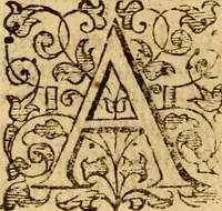 An illustration from A golden chaine: or, the description of theologie : containing the order of the causes of salvation and damnation, according to Gods word .. (1600)