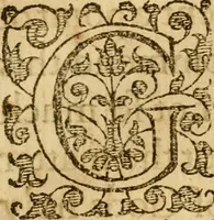 Picture 17 of 53 from A golden chaine: or, the description of theologie : containing the order of the causes of salvation and damnation, according to Gods word .. (1600), leaf 565