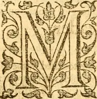 An illustration from A golden chaine: or, the description of theologie : containing the order of the causes of salvation and damnation, according to Gods word .. (1600)