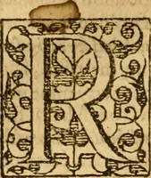 An illustration from A golden chaine: or, the description of theologie : containing the order of the causes of salvation and damnation, according to Gods word .. (1600)