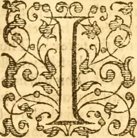An illustration from A golden chaine: or, the description of theologie : containing the order of the causes of salvation and damnation, according to Gods word .. (1600)