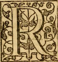 An illustration from A golden chaine: or, the description of theologie : containing the order of the causes of salvation and damnation, according to Gods word .. (1600)