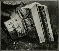 An illustration from The golden days of the renaissance in Rome, from the pontificate of Julius II to that of Paul III (1906)