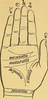 An illustration from The golden wheel dream-book and fortune-teller : being the most complete work on fortune-telling and interpreting dreams ever printed, containing an alphabetical list of dreams, with their interpretation, and the lucky numbers they signify; also explaining how to tell fortunes by the mysterious golden wheel... (1862)