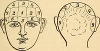 An illustration from The golden wheel dream-book and fortune-teller : being the most complete work on fortune-telling and interpreting dreams ever printed, containing an alphabetical list of dreams, with their interpretation, and the lucky numbers they signify; also explaining how to tell fortunes by the mysterious golden wheel... (1862)