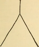 An illustration from The golden wheel dream-book and fortune-teller : being the most complete work on fortune-telling and interpreting dreams ever printed, containing an alphabetical list of dreams, with their interpretation, and the lucky numbers they signify; also explaining how to tell fortunes by the mysterious golden wheel... (1862)