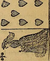 An illustration from The golden wheel dream-book and fortune-teller : being the most complete work on fortune-telling and interpreting dreams ever printed, containing an alphabetical list of dreams, with their interpretation, and the lucky numbers they signify; also explaining how to tell fortunes by the mysterious golden wheel... (1862)