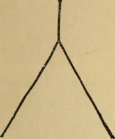Picture 11 of 14 from The golden wheel dream-book and fortune-teller : being the most complete work on fortune-telling and interpreting dreams ever printed, containing an alphabetical list of dreams, with their interpretation, and the lucky numbers they signify; also explaining how to tell fortunes by the mysterious golden wheel... (1862), leaf 144