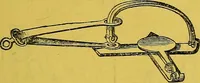 An illustration from The golden wheel dream-book and fortune-teller : being the most complete work on fortune-telling and interpreting dreams ever printed, containing an alphabetical list of dreams, with their interpretation, and the lucky numbers they signify; also explaining how to tell fortunes by the mysterious golden wheel... (1862)