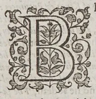 Picture 5 of 5 from Good newes from Virginia. : Sent to the Counsell and Company of Virginia, resident in England. From Alexander Whitaker, the Minister of Henrico in Virginia. : Wherein also is a narration of the present state of that countrey, and our colonies there. (1613), leaf 35