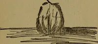 An illustration from Good times with the juniors (1904)