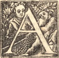 An illustration from Gospel-libertie, in the extensions [and] limitations of it. Wherein is laid down an exact way to end the present dissentions, and to preserve future peace among the saints. VVhereunto is added good newes from Heaven, to the worst of sinners on earth. The former in nine sermons on I Cor. 10. 23 ... The latter in three sermons on Luke 2. 10 (1648)