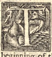 An illustration from Gospel-libertie, in the extensions [and] limitations of it. Wherein is laid down an exact way to end the present dissentions, and to preserve future peace among the saints. VVhereunto is added good newes from Heaven, to the worst of sinners on earth. The former in nine sermons on I Cor. 10. 23 ... The latter in three sermons on Luke 2. 10 (1648)