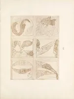 Picture 3 of 7 from Gothic alphabets (1897), leaf 49