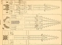 An illustration from Gothic architecture selected from various ancient edifices in England, (1920)