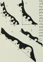 An illustration from Gothic architecture in England and France (1911)