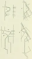 An illustration from Gothic architecture in England and France (1911)