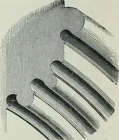 An illustration from Gothic architecture in England and France (1911)