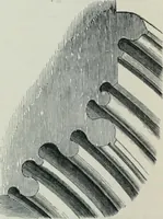 An illustration from Gothic architecture in England and France (1911)