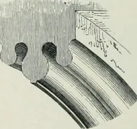 An illustration from Gothic architecture in England and France (1911)