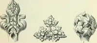 An illustration from Gothic architecture in England and France (1911)