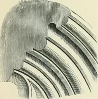 An illustration from Gothic architecture in England and France (1911)