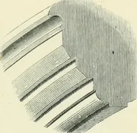 An illustration from Gothic architecture in England and France (1911)