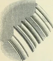 An illustration from Gothic architecture in England and France (1911)