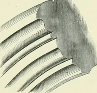 An illustration from Gothic architecture in England and France (1911)