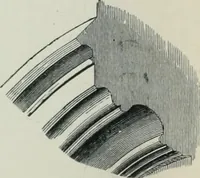 An illustration from Gothic architecture in England and France (1911)