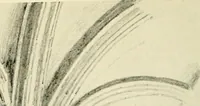 An illustration from Gothic architecture in France, England, and Italy (1915)