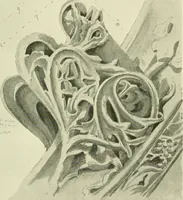 An illustration from Gothic architecture in France, England, and Italy (1915)