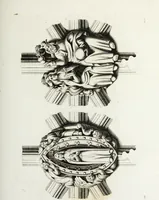 An illustration from Gothic ornaments in the cathedral church of York (1795)