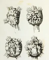 An illustration from Gothic ornaments in the cathedral church of York (1795)