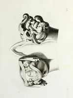 Picture 10 of 109 from Gothic ornaments in the cathedral church of York (1795), leaf 30