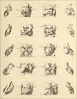 Picture 85 of 95 from Gothic ornaments, selected from various ancient buildings in England and France : exhibiting numerous specimens of every description of decorative detail, from the XIth. to the beginning of the XVIth. cent. (1900), leaf 177