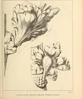 Picture 18 of 95 from Gothic ornaments, selected from various ancient buildings in England and France : exhibiting numerous specimens of every description of decorative detail, from the XIth. to the beginning of the XVIth. cent. (1900), leaf 43