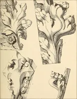 An illustration from Gothic ornaments, selected from various ancient buildings in England and France : exhibiting numerous specimens of every description of decorative detail, from the XIth. to the beginning of the XVIth. cent. (1900)