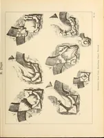 An illustration from Gothic ornaments, selected from various ancient buildings in England and France : exhibiting numerous specimens of every description of decorative detail, from the XIth. to the beginning of the XVIth. cent. (1900)