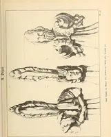 An illustration from Gothic ornaments, selected from various ancient buildings in England and France : exhibiting numerous specimens of every description of decorative detail, from the XIth. to the beginning of the XVIth. cent. (1900)