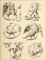 An illustration from Gothic ornaments, selected from various ancient buildings in England and France : exhibiting numerous specimens of every description of decorative detail, from the XIth. to the beginning of the XVIth. cent. (1900)