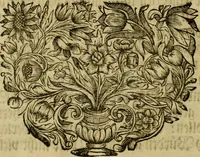 Picture 4 of 14 from Gottfrid Arnolds Unparteyische Kirchen- und Ketzer-Historie : von Anfang des Neuen Testaments biss auff das Jahr Christi 1688 (1700), leaf 13